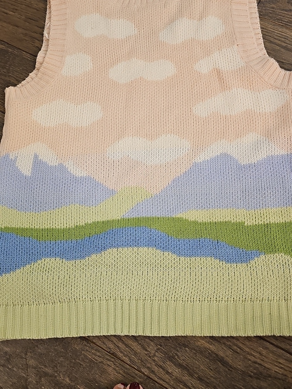 Vintage Sweater Vest - Picture 3 of 4